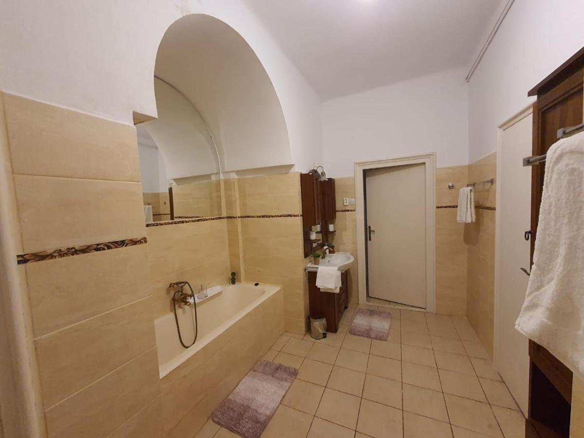 Enescu Apartament Timişoara