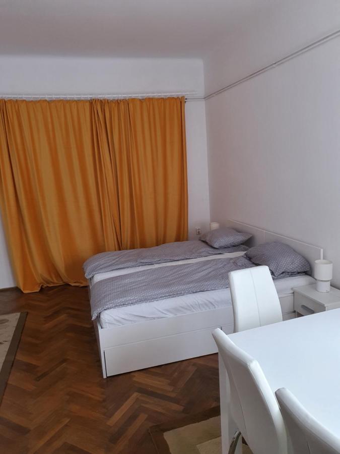 Apartament Enescu Timişoara